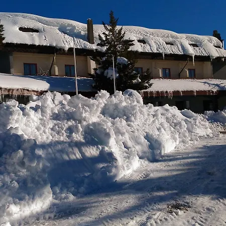 Отель Delberg Palace