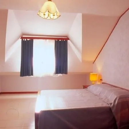 Delberg Palace Отель